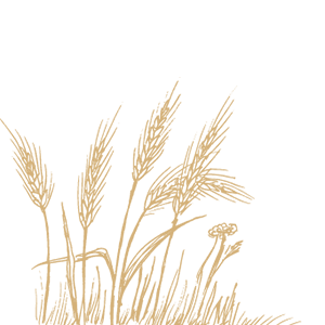 union-organics-left-wheat