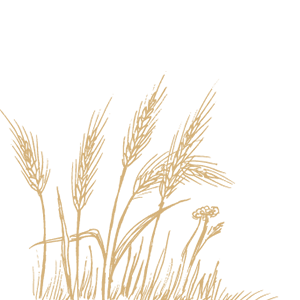union-organics-left-wheat union-organics-left-wheat
