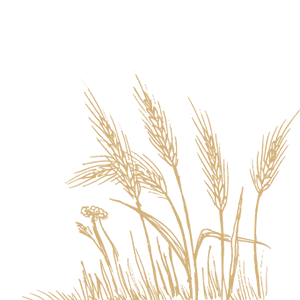 union-organics-right-wheat