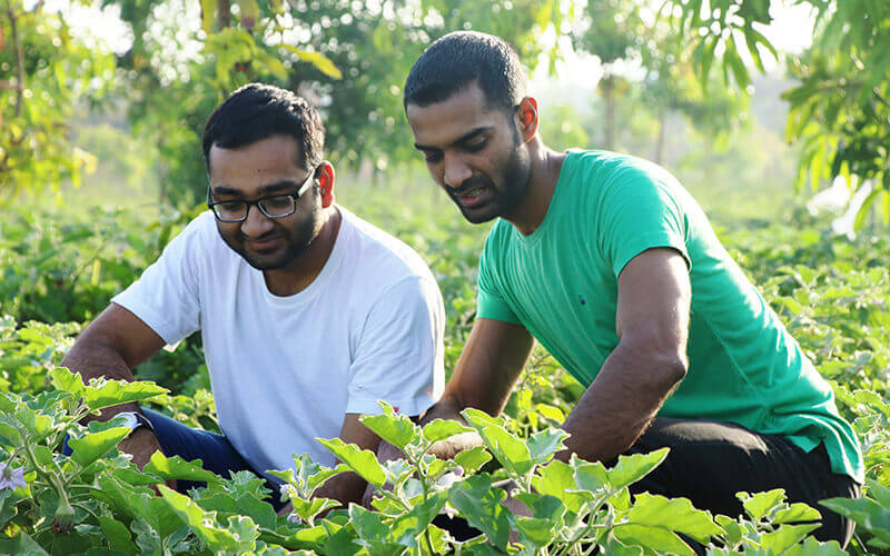 our-mission-union-organics our-mission-union-organics