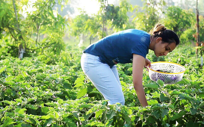 our-vision-union-organics our-vision-union-organics